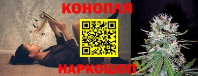 соль ск Моздок