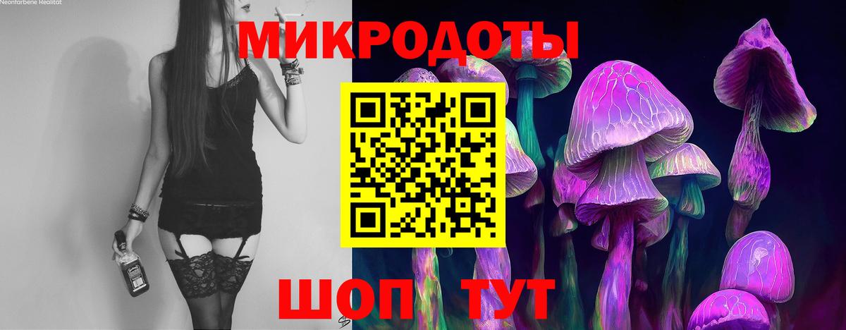 Грязи  Псилоцибиновые грибы Cubensis  Вход с VPN  Псилоцибиновые грибы Cubensis 