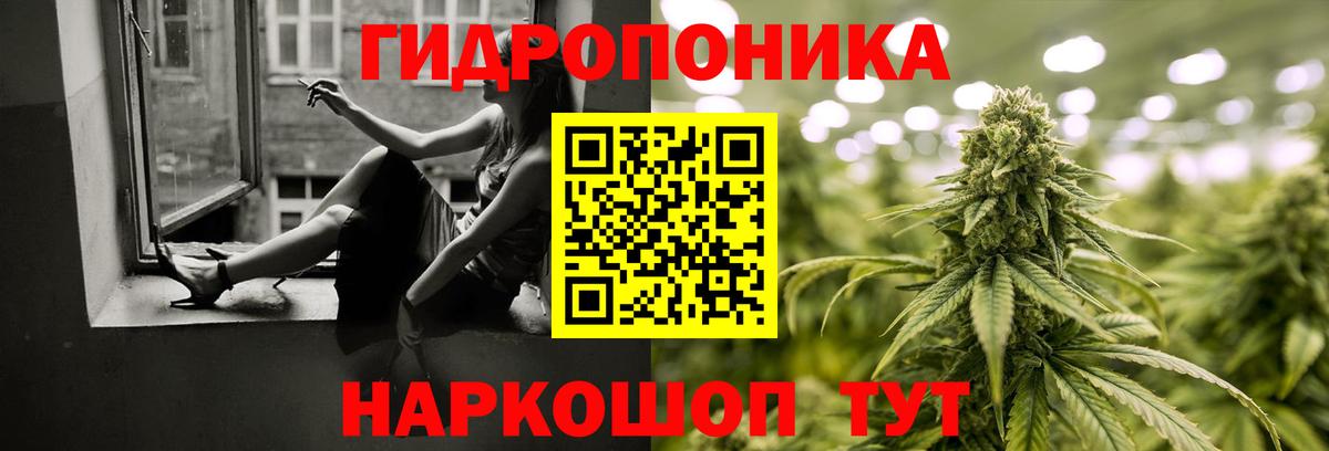 Грязи  Шишки марихуана конопля  Вход с VPN  Бошки Шишки ГИДРОПОН  Конопля LSD WEED 